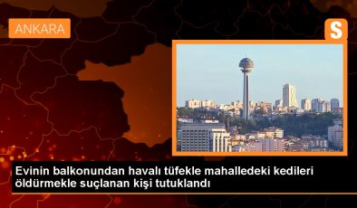 Ankara’da Havalı Tüfekle Kedilere Ateş Edip Öldüren Şüpheli Tutuklandı