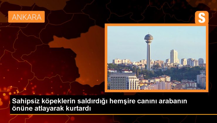 Ankara’da Sahipsiz Köpeklerin Saldırısına Uğrayan Hemşire: Lütfen Bir Çözüm Bulunsun