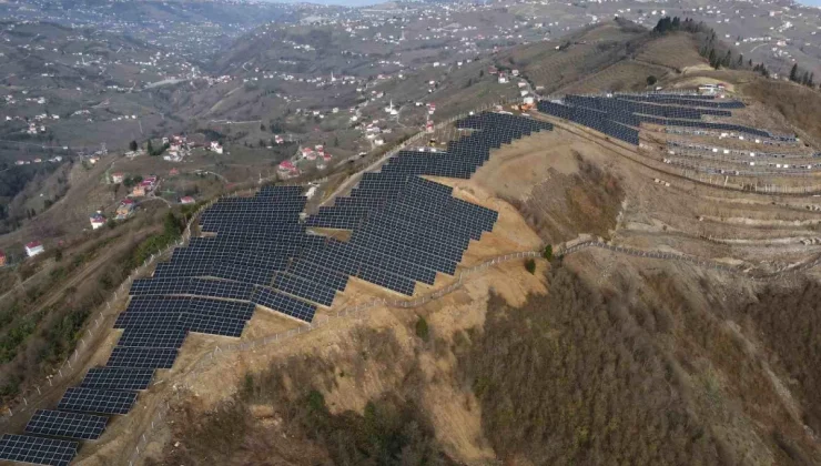 Doğu Karadeniz’in yüksek tepeleri güneş enerji santralleri ile kaplanıyor