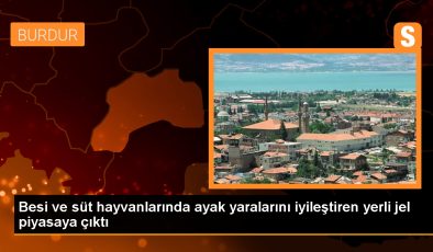 MAKÜ, yerli jel ile hayvanların ayak ve tırnak yaralarını tedavi ediyor