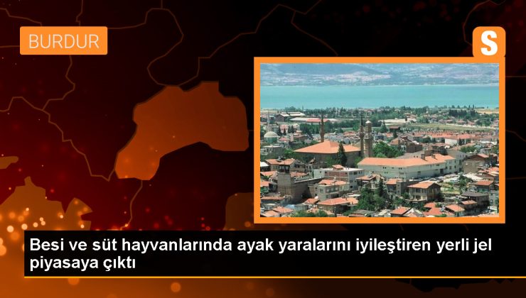 MAKÜ, yerli jel ile hayvanların ayak ve tırnak yaralarını tedavi ediyor