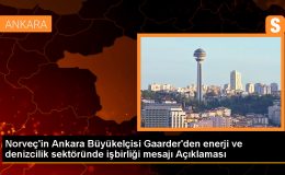 Norveç Büyükelçisi: Norveç ve Türkiye arasında enerji ve denizcilik sektörlerinde işbirliği geliştirilebilir