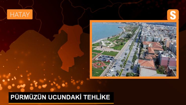 Pürmüz Kullanımı İnsan Sağlığına Zararlı Olabilir