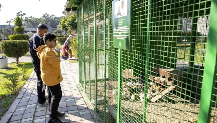 Tarsus Doğa Parkı 2023 yılında 400 bin ziyaretçi ağırladı