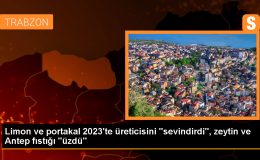 Türkiye’de Bitkisel Üretimde Limon ve Portakal Artarken Zeytin ve Antep Fıstığı Düştü