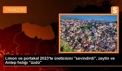 Türkiye’de Bitkisel Üretimde Limon ve Portakal Artarken Zeytin ve Antep Fıstığı Düştü