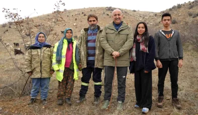 Yahşihan Belediyesi, çobanlık yapan üniversite mezununu işe aldı