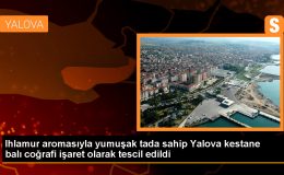 Yalova’da Üretilen Kestane Balı Coğrafi İşaret Tescili Aldı