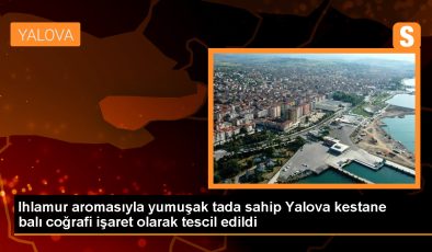 Yalova’da Üretilen Kestane Balı Coğrafi İşaret Tescili Aldı