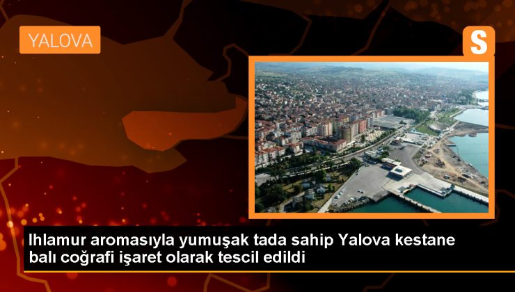 Yalova’da Üretilen Kestane Balı Coğrafi İşaret Tescili Aldı