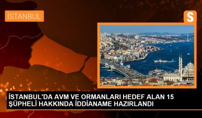 İSTANBUL’DA AVM VE ORMANLARI HEDEF ALAN 15 ŞÜPHELİ HAKKINDA İDDİANAME HAZIRLANDI