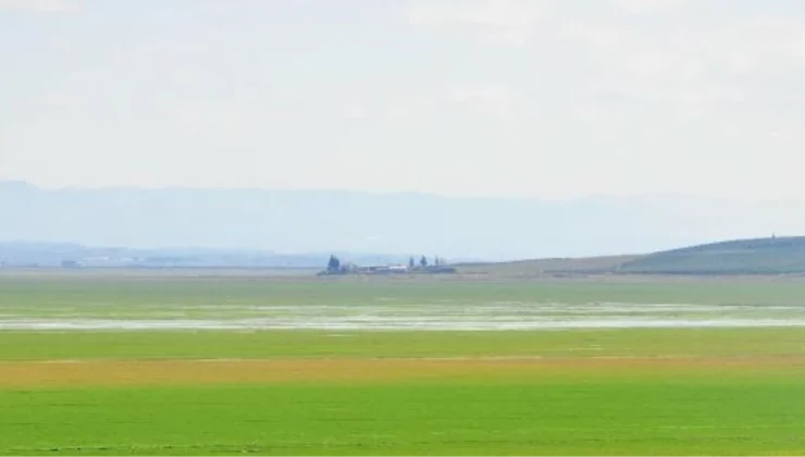 Marmara Gölü’nün tarıma açılmasına ilişkin iş birliği protokolünün iptali için dava açıldı