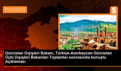 Gürcistan Dışişleri Bakanı: Türkiye, Gürcistan ve Azerbaycan Güçlü İşbirliğine Sahip