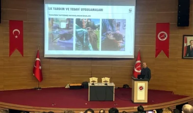 Kastamonu Üniversitesi’nde Yabani Hayvanlarda İlk Yardım ve Rehabilitasyon Çalıştayı Gerçekleştirildi