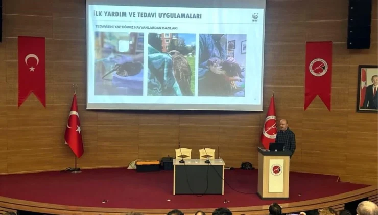 Kastamonu Üniversitesi’nde Yabani Hayvanlarda İlk Yardım ve Rehabilitasyon Çalıştayı Gerçekleştirildi