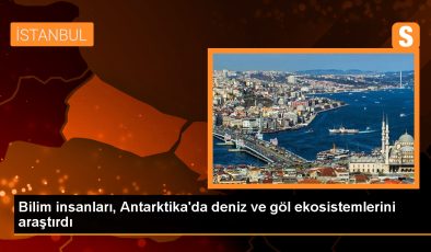 Türk Bilim İnsanları Antarktika’da Deniz ve Göl Ekosistemlerini Araştırdı