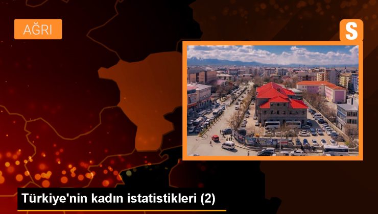 Türkiye’de Kadın Milletvekillerinin Oranı Artarken, Kadın Büyükelçilerin Oranı da Yükseldi