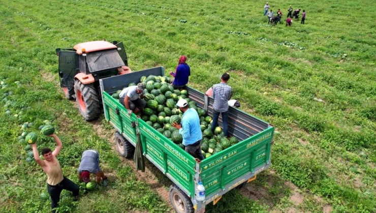 Adana’da ‘ham karpuz timleri’ marka değerini koruyor