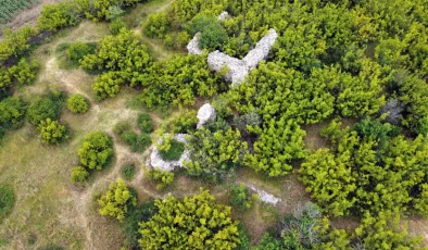 Edirne’deki tarihi kuleler yok olma tehlikesiyle karşı karşıya