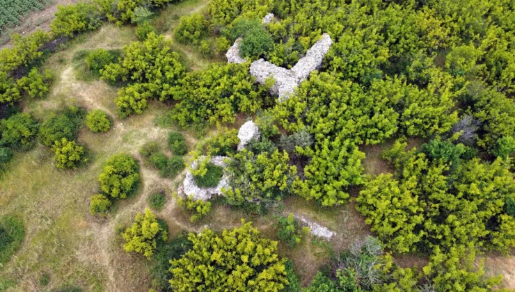 Edirne’deki tarihi kuleler yok olma tehlikesiyle karşı karşıya