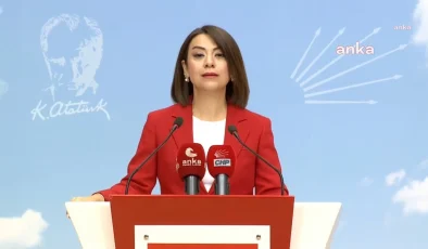 CHP Genel Başkan Yardımcısı Gamze Taşcıer, AK Parti’nin en düşük emekli aylığını 12 bin 500 liraya yükseltme teklifine tepki gösterdi