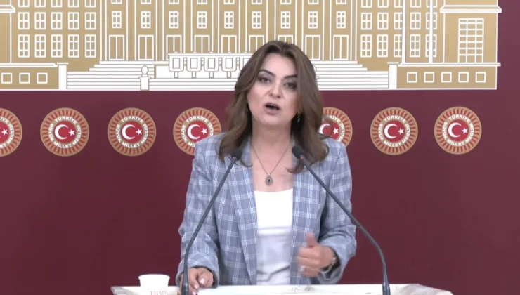 DEM Parti Grup Başkanvekili Gülüstan Kılıç Koçyiğit, Emeklilere Zam Yapılmamasını Eleştirdi