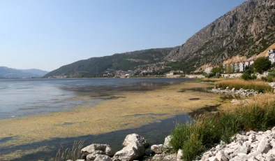 Eğirdir Gölü’nde Algler Yüzeyi Kaplamaya Başladı