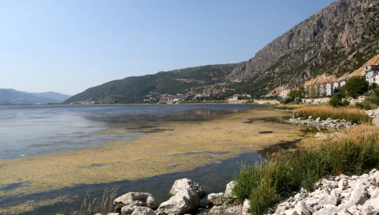 Eğirdir Gölü’nde Algler Yüzeyi Kaplamaya Başladı