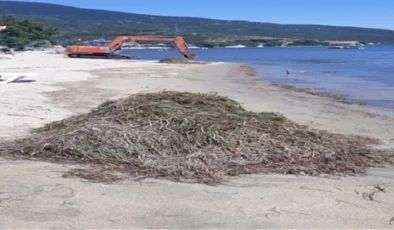 Erdek’te Deniz Çayırlarını Sökenlere Para Cezası