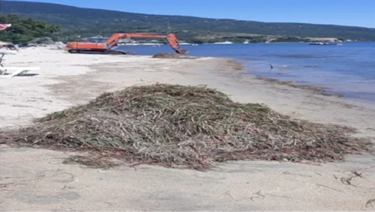 Erdek’te Deniz Çayırlarını Sökenlere Para Cezası