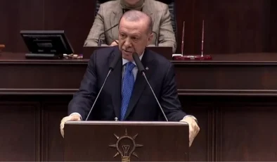 Erdoğan: Türkiye’de bir başıboş köpek sorunu var, Meclis tatile girmeden meseleyi çözeceğiz