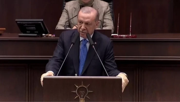 Erdoğan: Türkiye’de bir başıboş köpek sorunu var, Meclis tatile girmeden meseleyi çözeceğiz