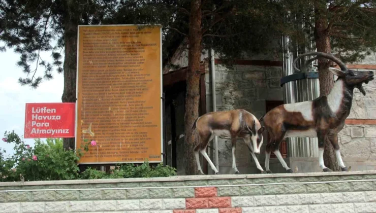 Erzincan’da Şifalı Gölün Kaynak Suyu İçiliyor