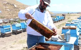 Eskişehir’de Yükselen Hava Sıcaklıkları Bal Üretimini Olumsuz Etkiliyor