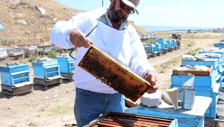 Eskişehir’de Yükselen Hava Sıcaklıkları Bal Üretimini Olumsuz Etkiliyor