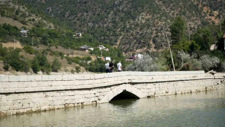 Gümüşhane’de Tarihi Köprü Sular Altında Kalıyor