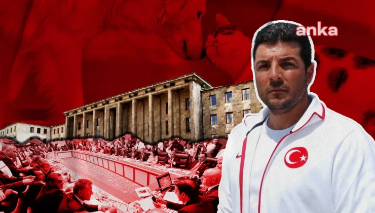 Milli Yüzücü Alper Sunaçoğlu, Sokak Hayvanlarına Ötanazi Yolunu Açan Teklifi Protesto Etmek İçin Açlık Grevine Başlıyor