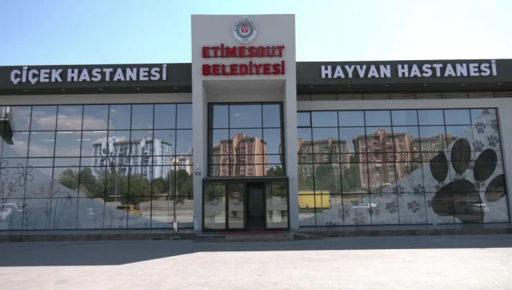 Etimesgut Belediye Başkanı Hayvan Hastanesi’nin Ruhsatsız Olduğunu Açıkladı