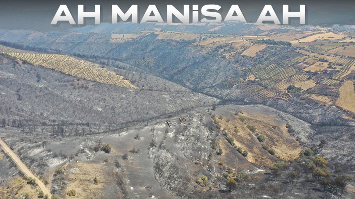 Manisa’da ciğerlerimiz yandı: Etkilenen alanlar görüntülendi